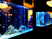 AQUARIUM DINING 美羽