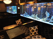 AQUARIUM DINING 優羽